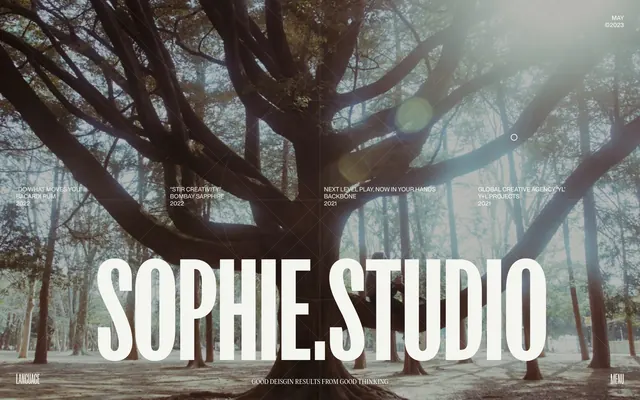 Sophie Studio Wordmark Overlay, minimal, photographic, high-contrast