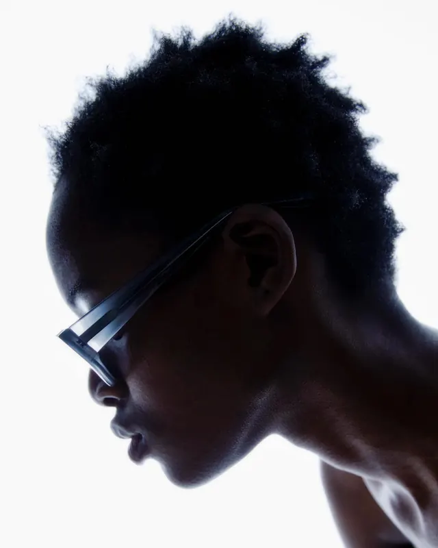 High-Contrast Silhouette Portrait, minimal, monochrome, monochrome