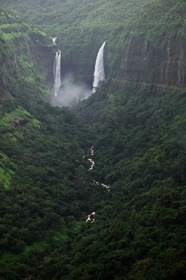 Waterfall in Lush Forest, photographic, organic, earthy
