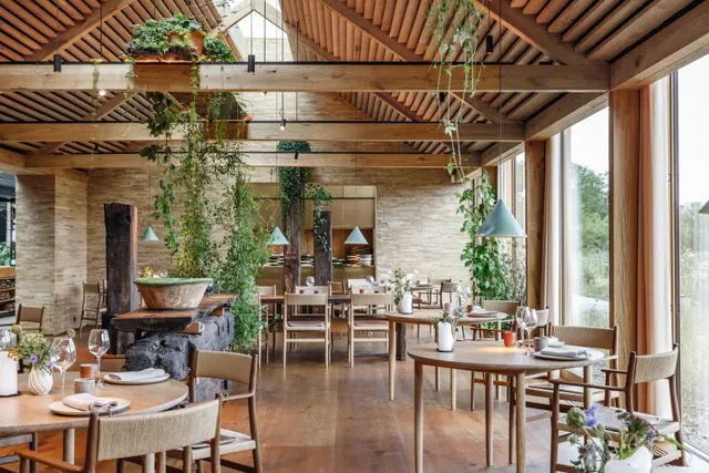 Rustic Modern Interior Design, photographic, organic, warm
