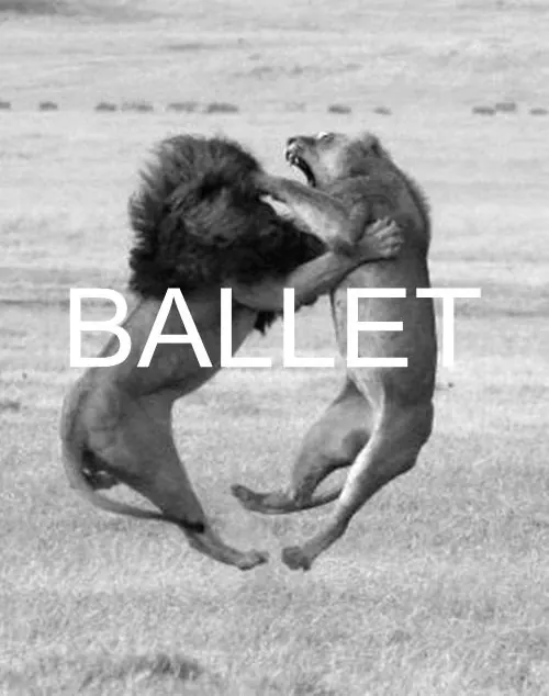 Lion Ballet Graphic, monochrome, minimal, monochrome