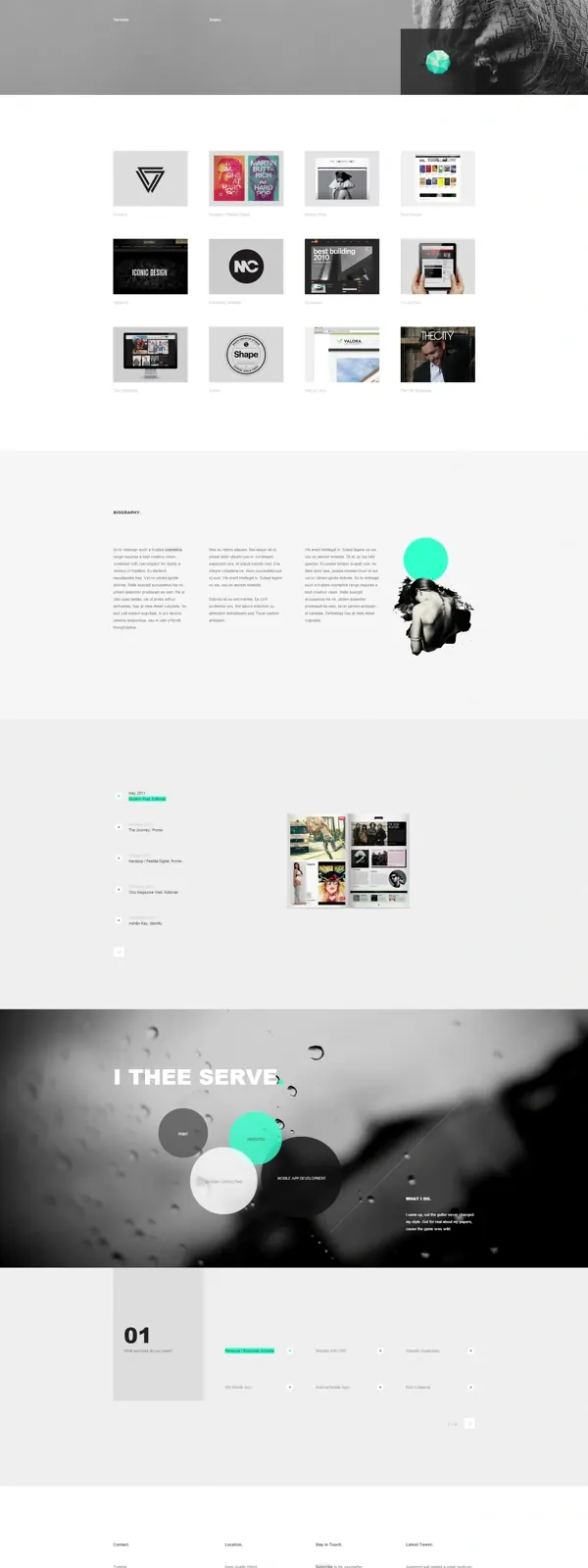 Larrytheme Portfolio Layout, minimal, corporate-clean, light