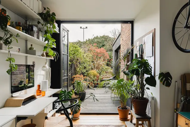 Modern Interior Design with Indoor Plants, photographic, minimal, light