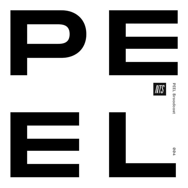 PELPEL Wordmark Design, minimal, swiss, high-contrast