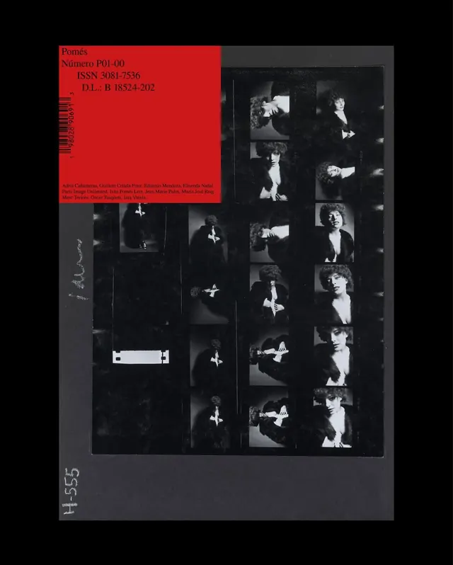 Editorial Layout with Red Block and Image Grid, swiss, minimal, high-contrast