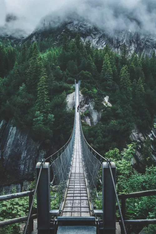 Suspension Bridge in Mountainous Forest, photographic, organic, muted