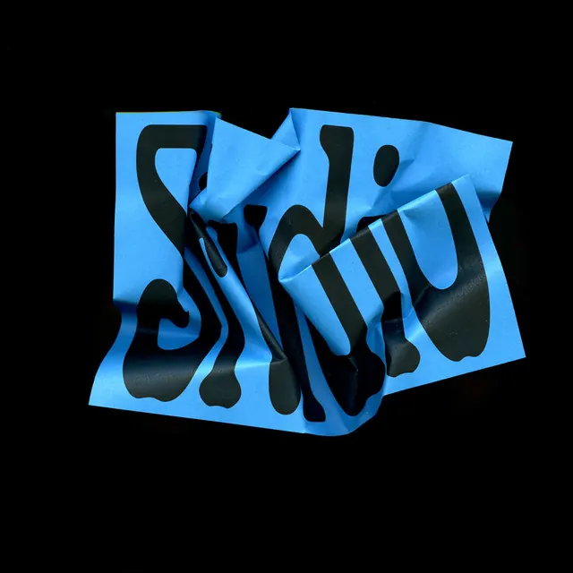 Distorted Wordmark Design, brutalist, neo-brutalist, vibrant