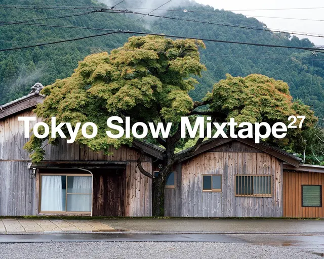Tokyo Slow Mixtape Cover Art, photographic, organic, earthy