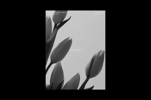 Monochrome Floral Composition, minimal, monochrome, monochrome