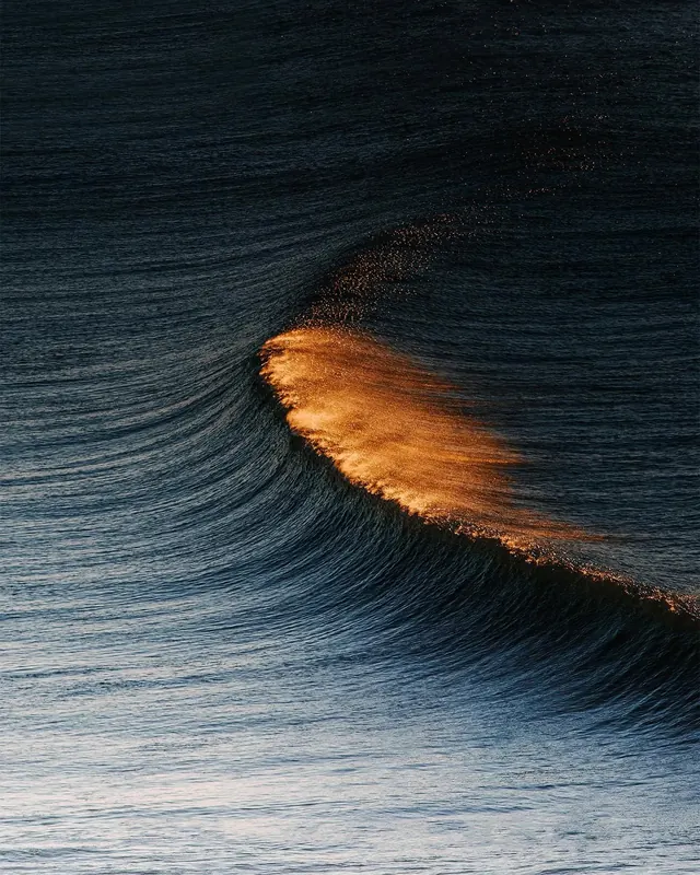 Golden Wave Reflection, photographic, organic, dark