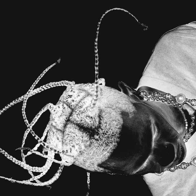 Abstract Face with Chain Accents, monochrome, abstract, monochrome