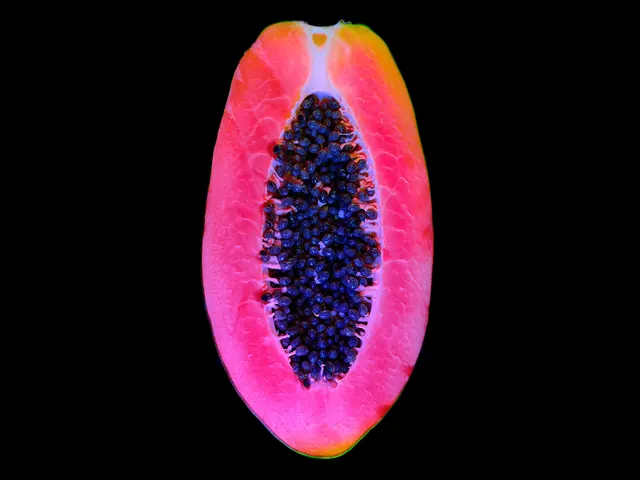 Papaya Fruit Cross-Section, organic, photographic, vibrant