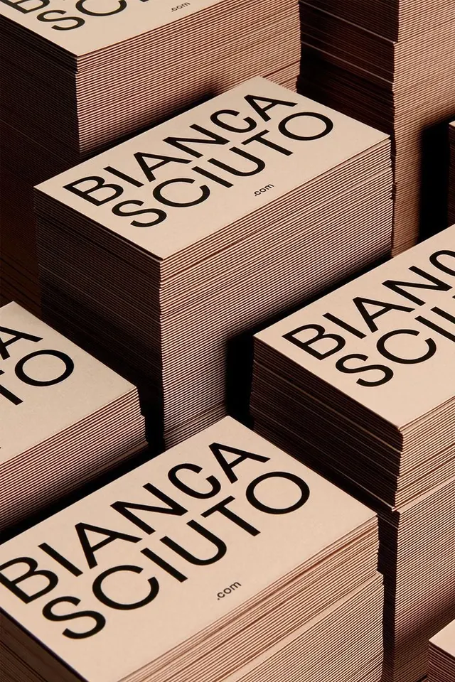Bianca Scio Branding Mockup, minimal, boxed, muted
