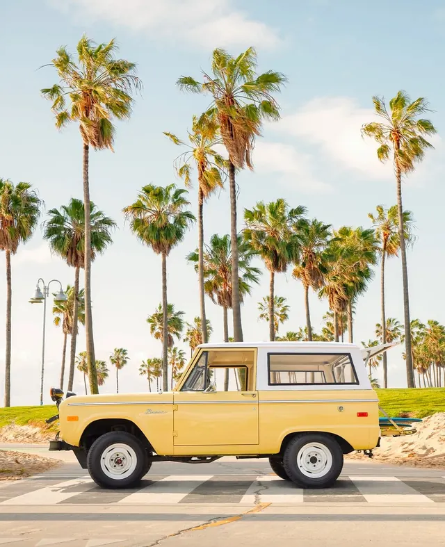 Yellow Pickup Truck with Palm Trees, photographic, organic, vibrant