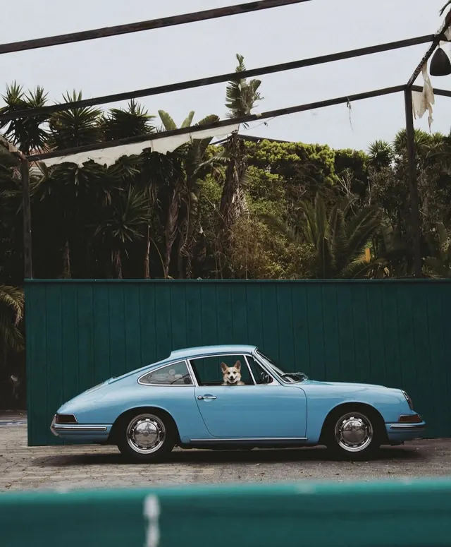 Vintage Car Collage with Tropical Backdrop, retro, photographic, vibrant