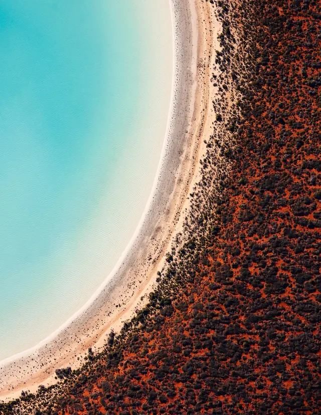 Aerial Beach and Forest Landscape, organic, photographic, vibrant