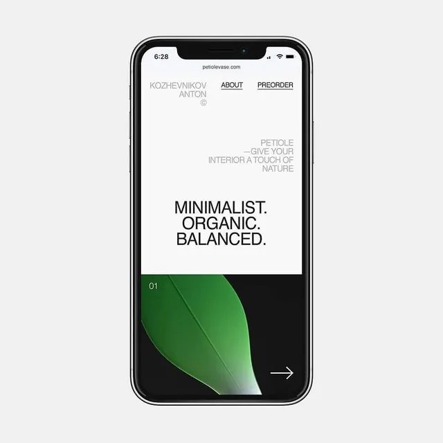 Minimalist Organic UI Design, minimal, swiss, high-contrast