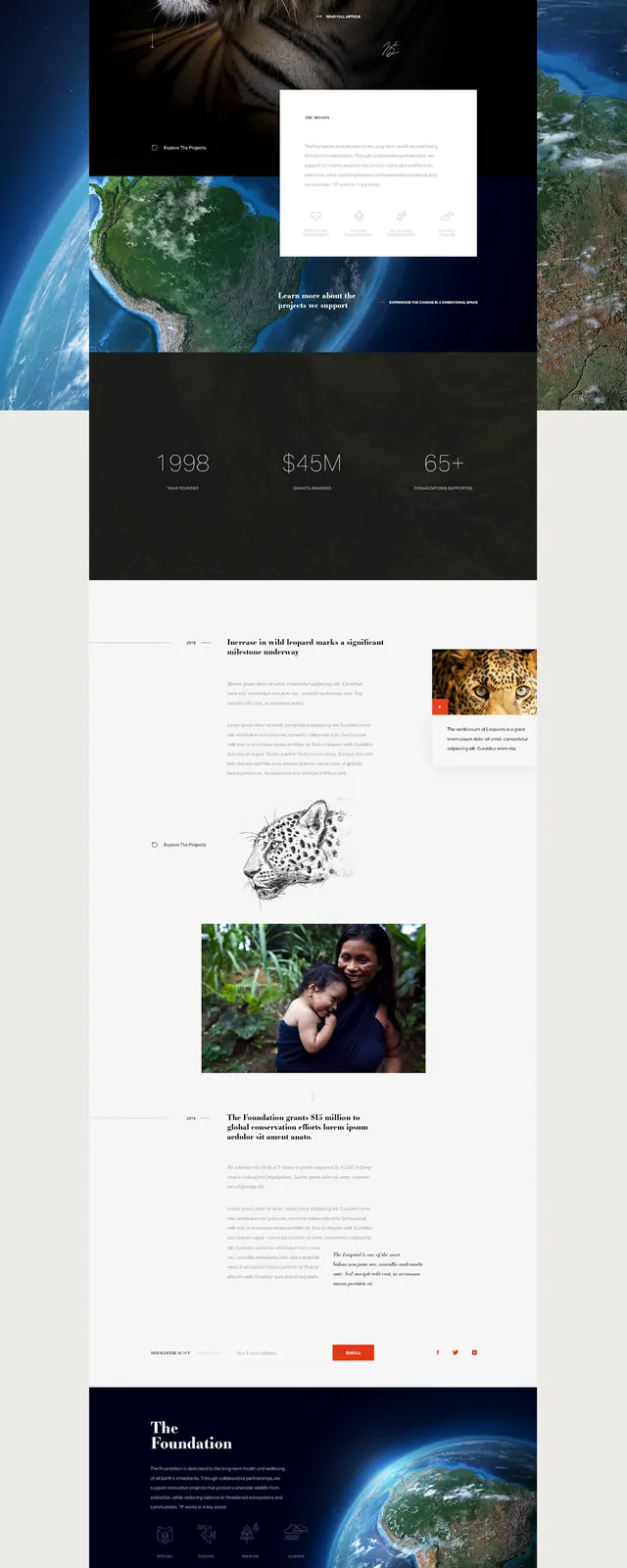 Corporate Website Layout with Tiger Imagery, corporate-clean, dark-mode, dark