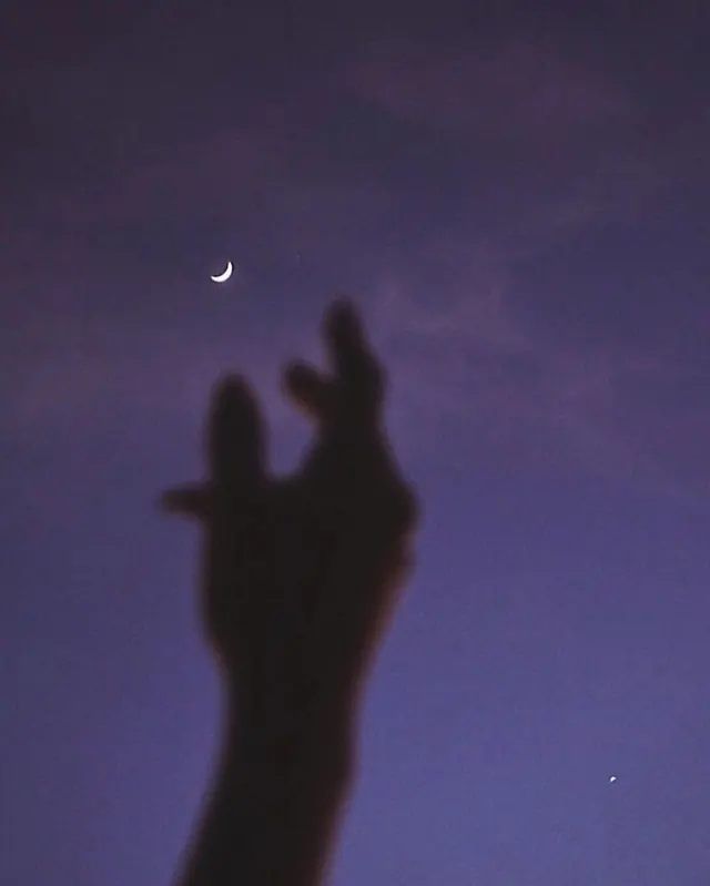Silhouette of a Hand Reaching for the Moon, organic, abstract, muted