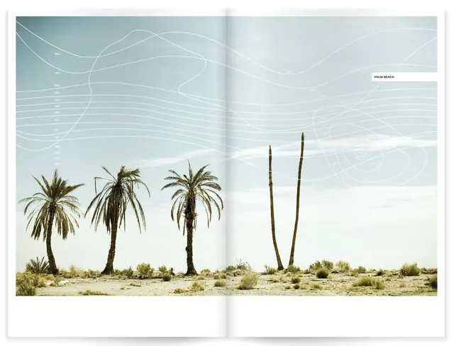 Tropical Palm Tree Editorial Spread, minimal, editorial, light