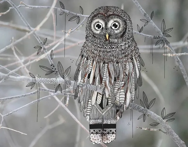 Illustrated Owl on Webbed Background, illustrated, organic, monochrome