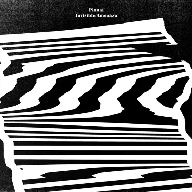 Ponal - Invisible America Album Art, brutalist, monochrome, monochrome