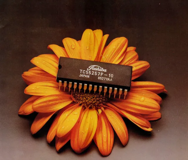 Flower with Text Overlay Design, organic, flat, vibrant