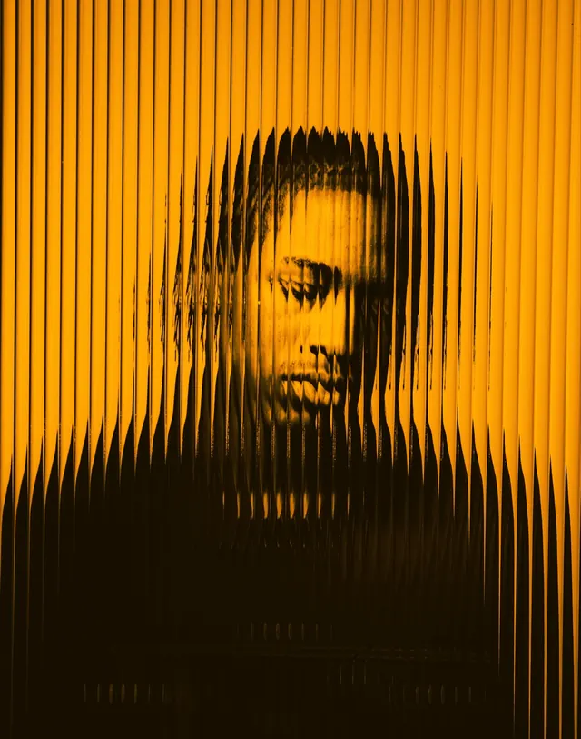 Distorted Portrait Graphic, brutalist, abstract, vibrant