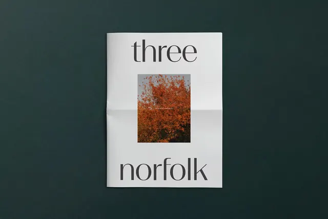 Three Norfolk Editorial Layout, minimal, swiss, high-contrast