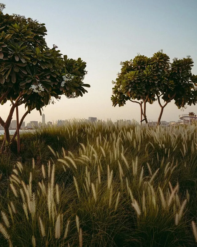 Stylized Landscape Illustration, organic, illustrated, muted