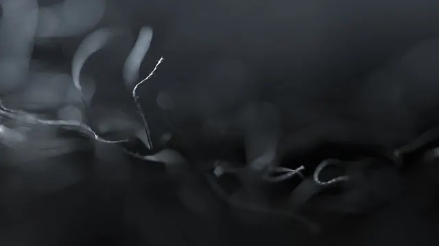 Abstract Organic Flow, minimal, monochrome, monochrome