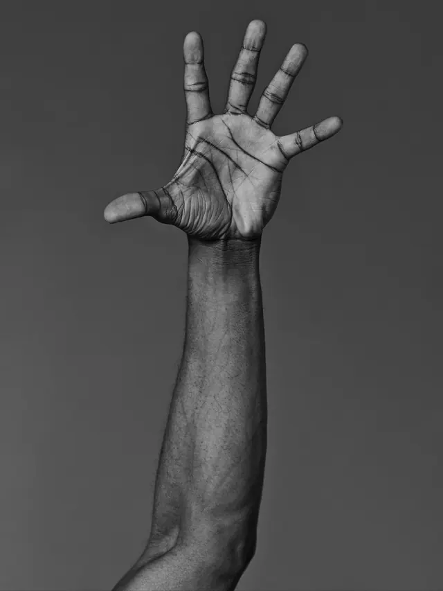 Anatomical Hand Study, technical, monochrome, monochrome