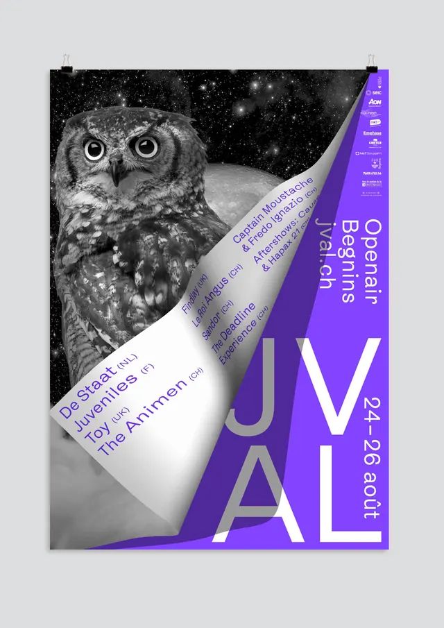 Owl Illustration with Typography, editorial, illustrated, high-contrast