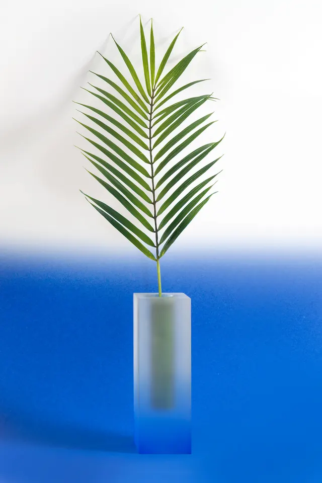 Palm Leaf in Glass Cylinder, minimal, organic, vibrant