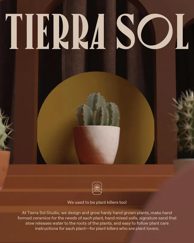 Terra Sol Branding Identity, minimal, geometric, dark
