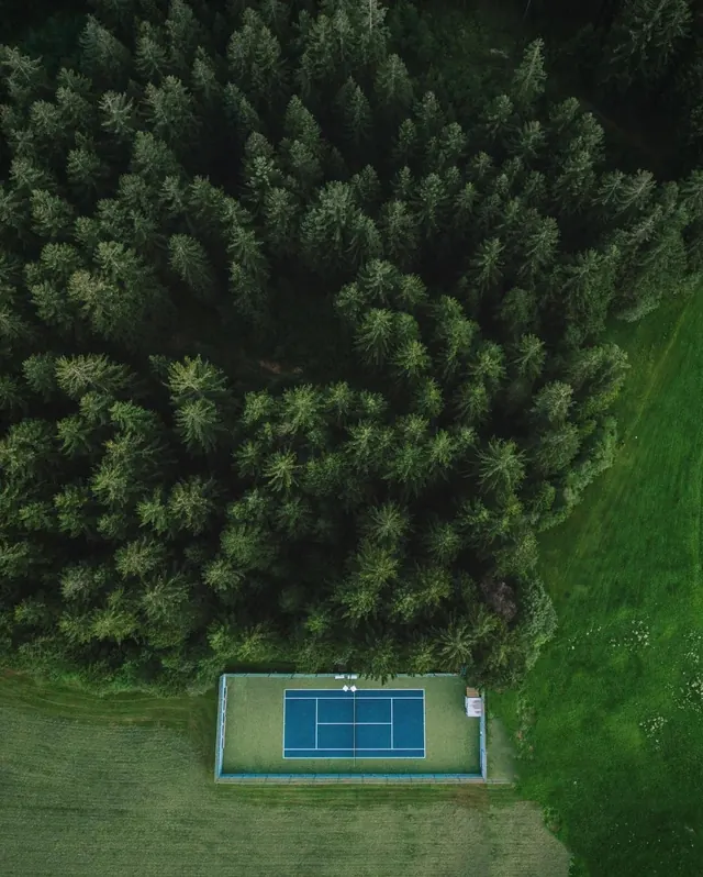 Aerial View of Forest and Swimming Pool, photographic, organic, earthy