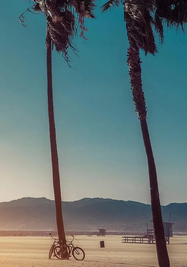 Tropical Beach Landscape, photographic, minimal, warm