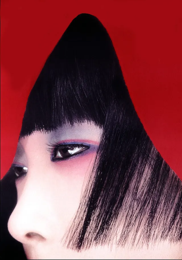 Stylized Portrait with Red Background, photographic, maximalist, high-contrast