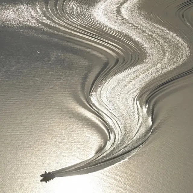 Abstract Liquid Metallic Flow, organic, abstract, monochrome