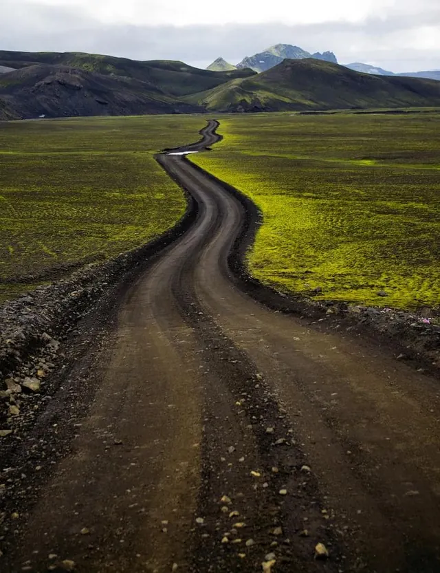 Winding Dirt Road Through Green Meadow, photographic, organic, earthy
