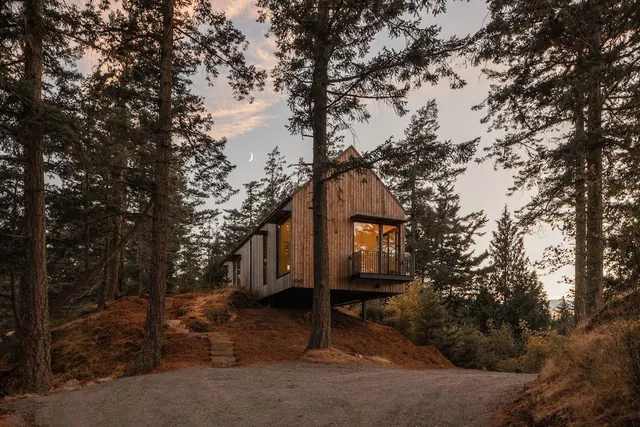 Modern Treehouse Architecture, minimal, organic, earthy