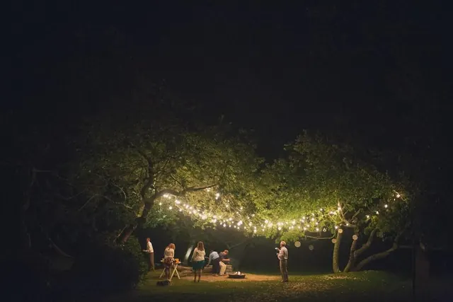 Nighttime Garden Gathering, photographic, organic, dark