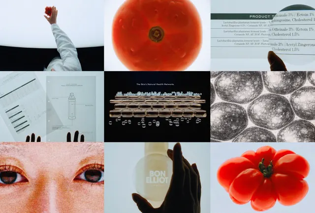 Visual Identity and Graphic Design Reference Board, minimal, editorial, vibrant