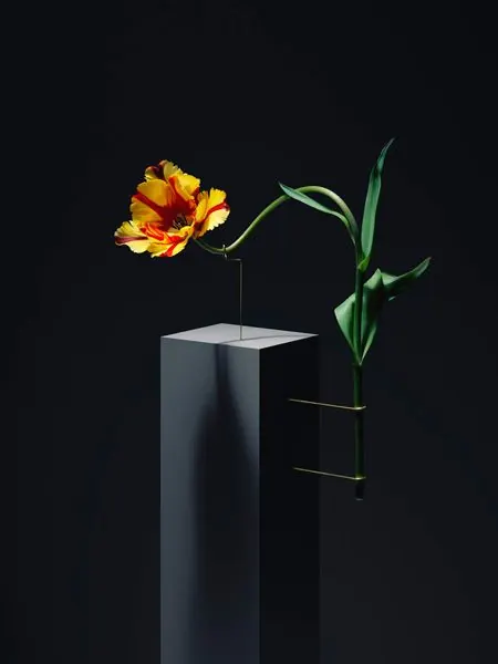 Minimalist Floral 3D Render, minimal, luxury, dark