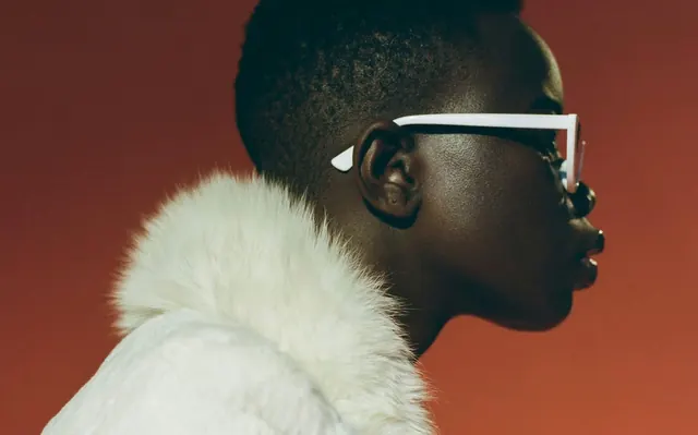 Portrait of a Person in Sunglasses, photographic, luxury, high-contrast