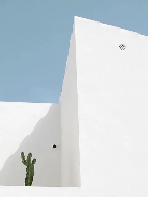 Minimalist Architecture and Cactus, minimal, geometric, high-contrast
