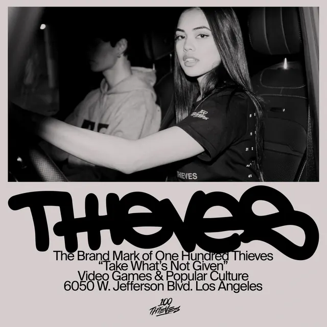 The Thieves Brand Identity, dark-mode, photographic, dark