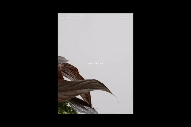 Organic Leaf Graphic with Minimalist Text, minimal, organic, high-contrast