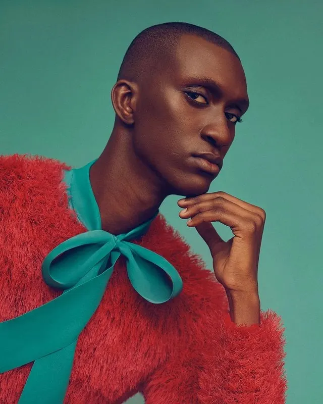 Portrait of a Person in a Fur Coat, photographic, luxury, vibrant