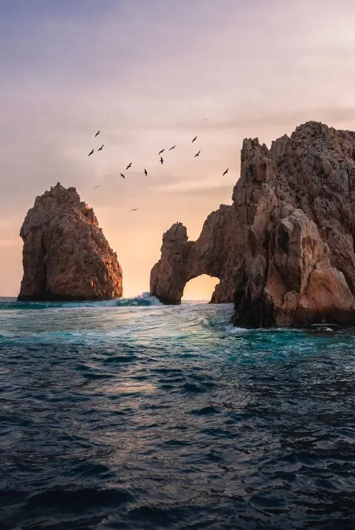 Natural Sea Arch with Birds, photographic, organic, muted
